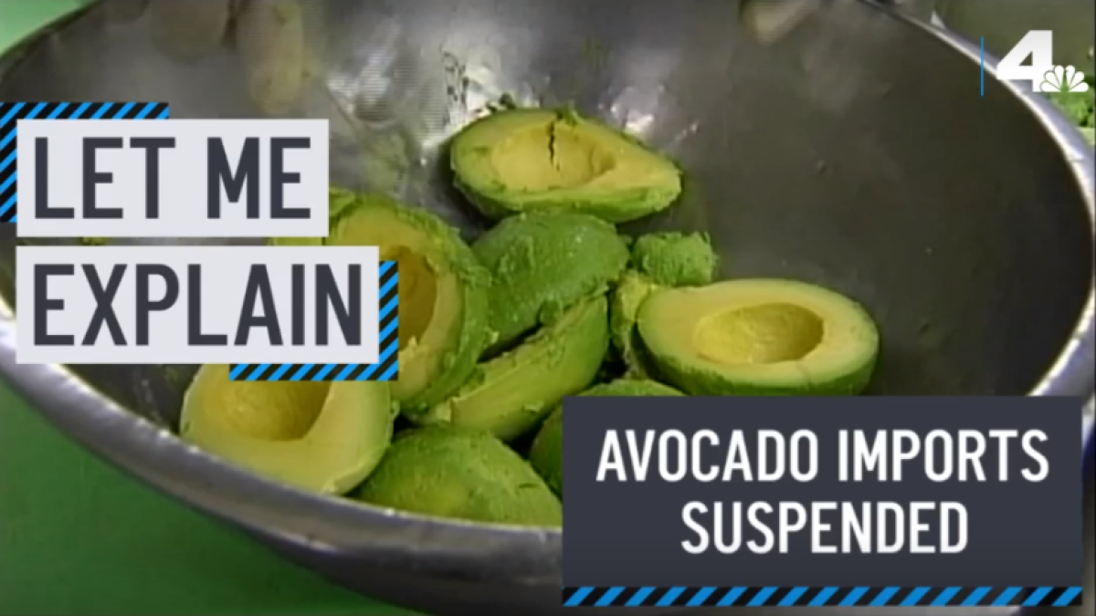 Let Me Explain Why Avocados From Mexico Are Suspended NBC Los Angeles