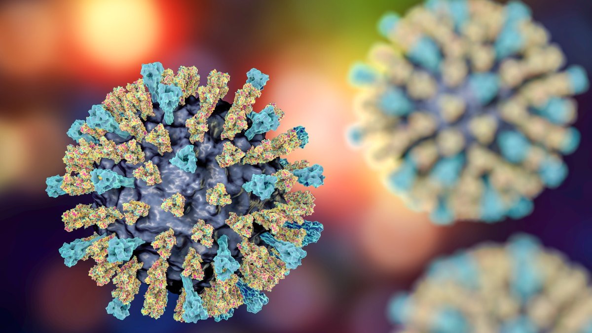 Orange County toddler infected with measles – NBC Los Angeles