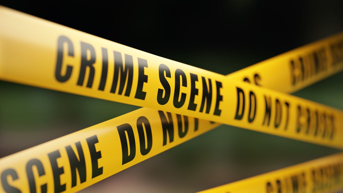Two Sought in Brea Mall Smash-and-Grab Robbery – NBC Los Angeles - Vimarsana News