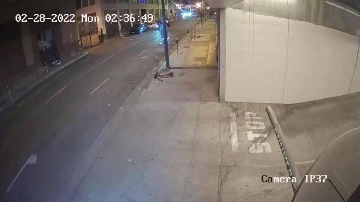 Dog Lost After DTLA Hit-And-Run Reunited With Owner – NBC Los Angeles - Vimarsana News
