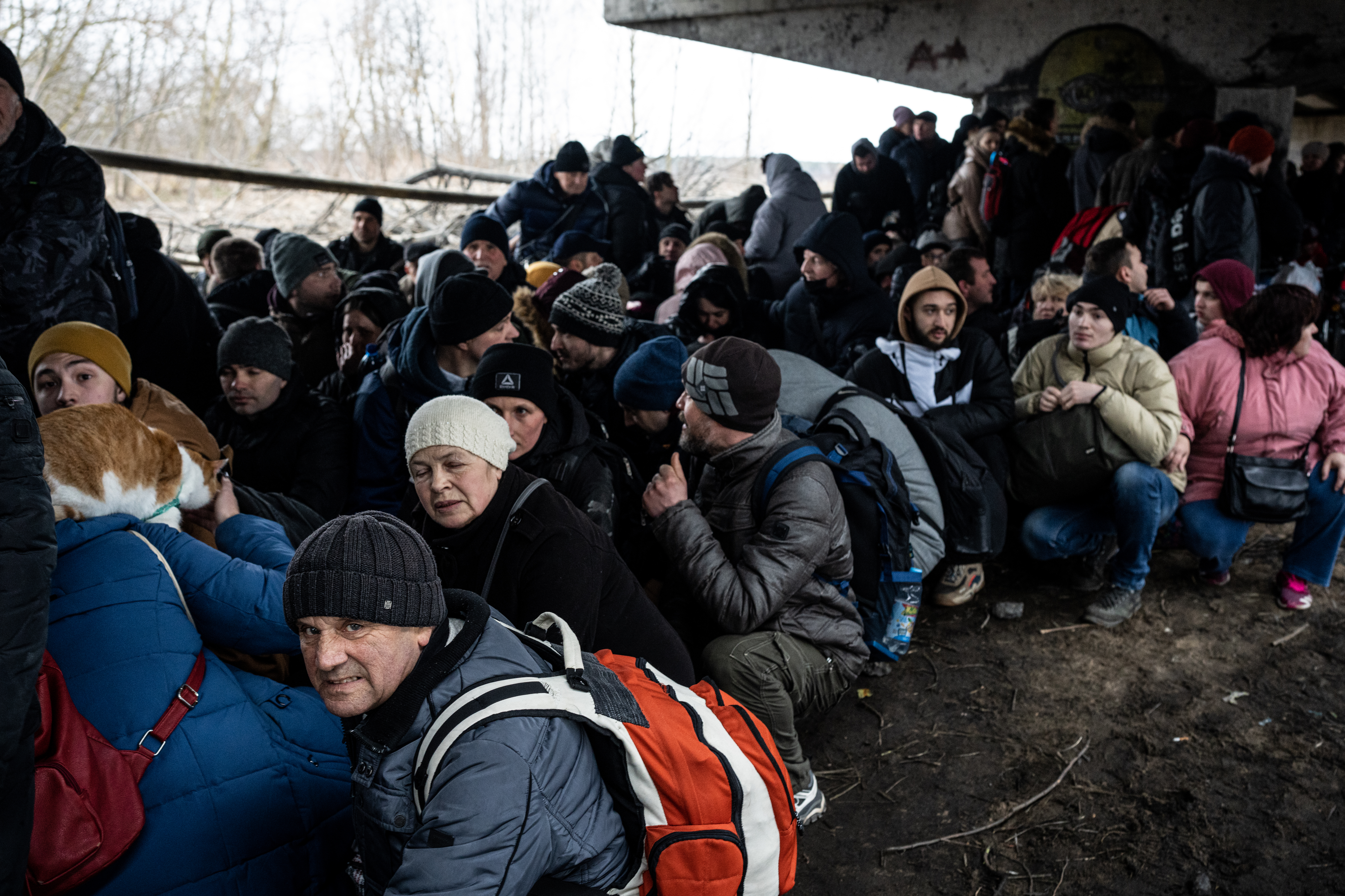 What Is the US Doing to Help Ukraine Refugees? - Vimarsana News