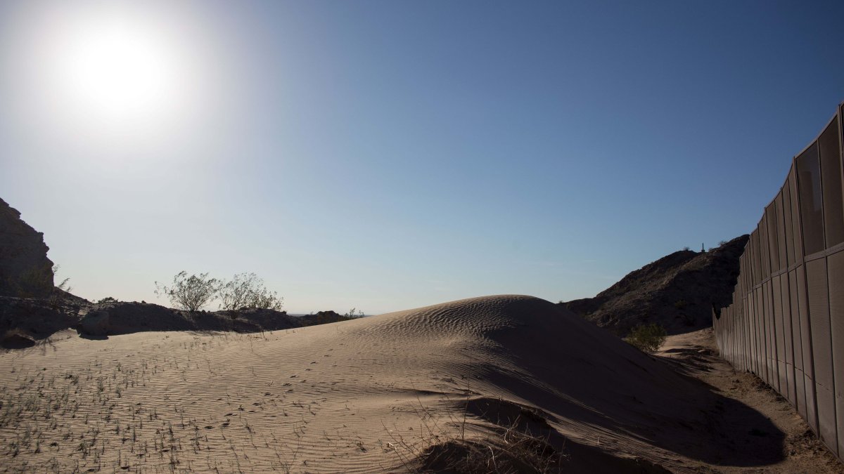 Volunteer Searchers in Mexico Find 11 Bodies in