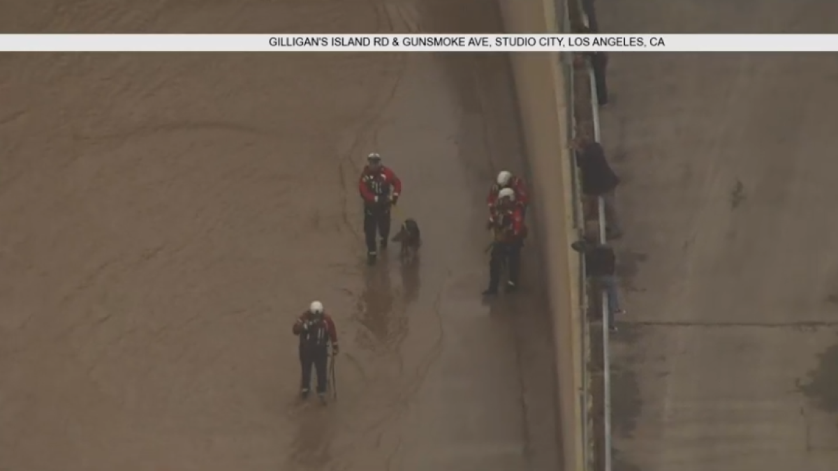 Firefighters Rescue Dog Stranded for Nearly 2 Hours in LA River NBC