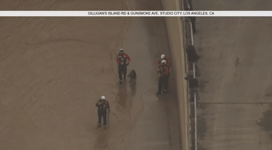 Watch: Crews Try to Rescue Dog in LA River – NBC Los Angeles - Vimarsana News