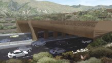 A rendering shows wildlife crossing the 101 Freeway near Los Angeles.