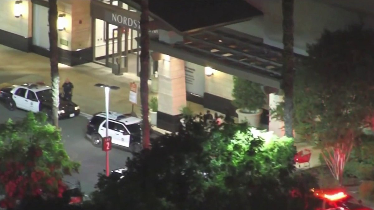 ABC7 Eyewitness News on X: #BREAKINGNEWS: Police respond to smash and grab  at Westfield Topanga Mall; 1 customer suffers minor injuries after being  trampled  / X
