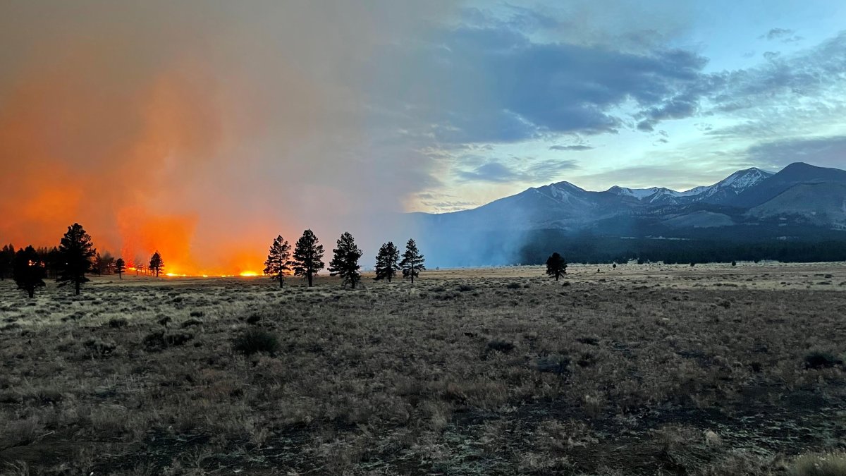 'Wall of Fire' Forces Evacuations Near Arizona Tourist Town - Vimarsana News