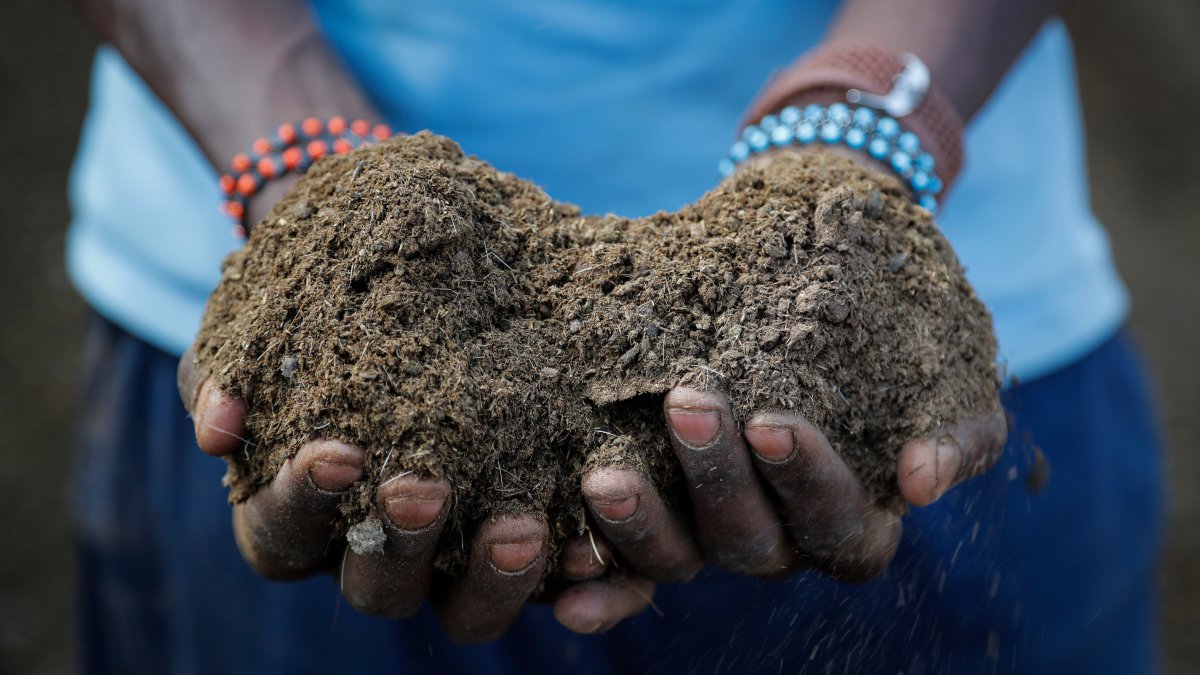 Russian War Worsens Fertilizer Crunch, Risking Food Supplies – NBC Los Angeles - Vimarsana News