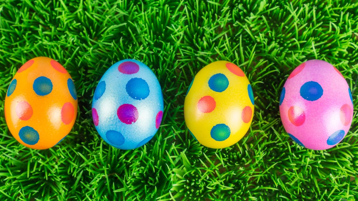 Join a Cirque du Soleil-Inspired Egg Hunt - Vimarsana News
