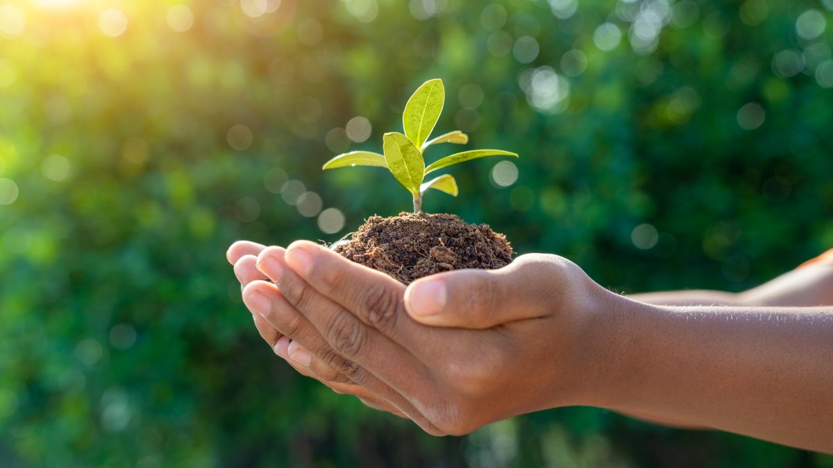 City of Glendale Celebrates Earth Day With Green Fair – NBC Los Angeles - Vimarsana News
