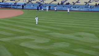 A view of Dodger Stadium.