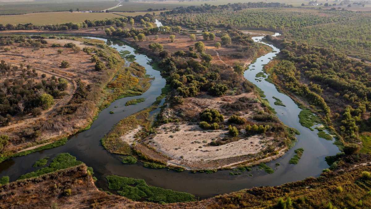 Here's How California Is Rethinking Its Rivers – NBC Los Angeles - Vimarsana News