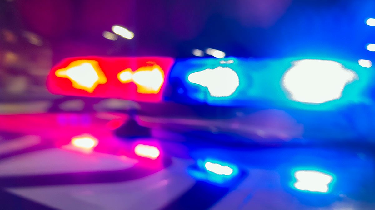 Man, 21, Arrested a Week After 3 Killed at Georgia Gun Range – NBC Los Angeles - Vimarsana News
