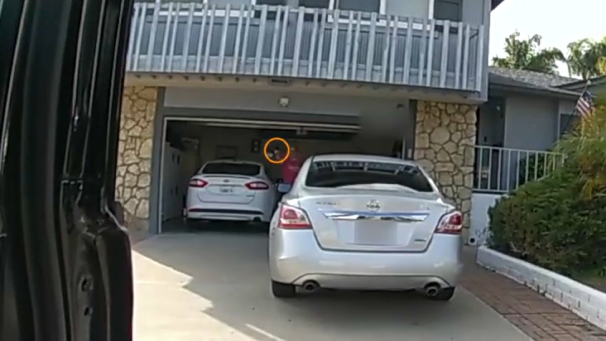 WATCH: San Diego PD Releases Footage of Deadly Police Shooting in San Carlos – NBC Los Angeles - Vimarsana News