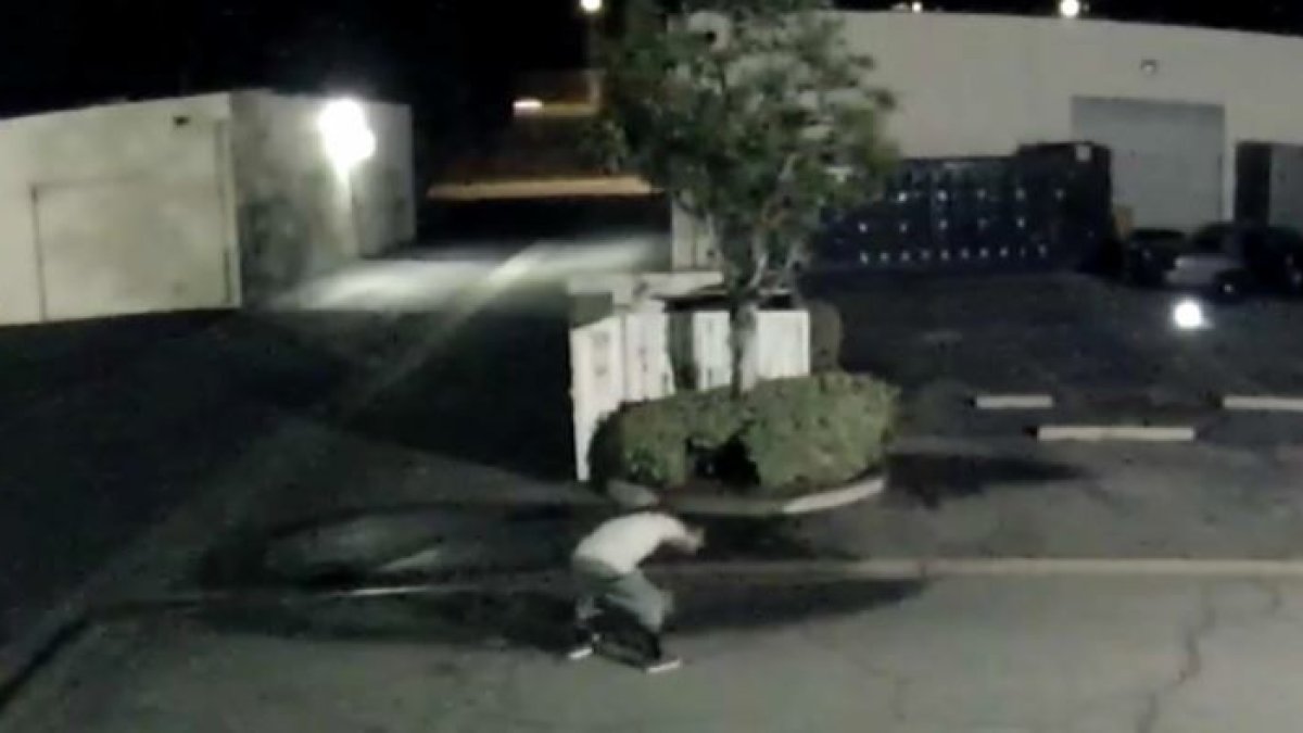 Man Caught on Camera Beating Dog – NBC Los Angeles