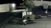 ‘It's Pretty Upsetting': Man Caught on Camera Beating Dog