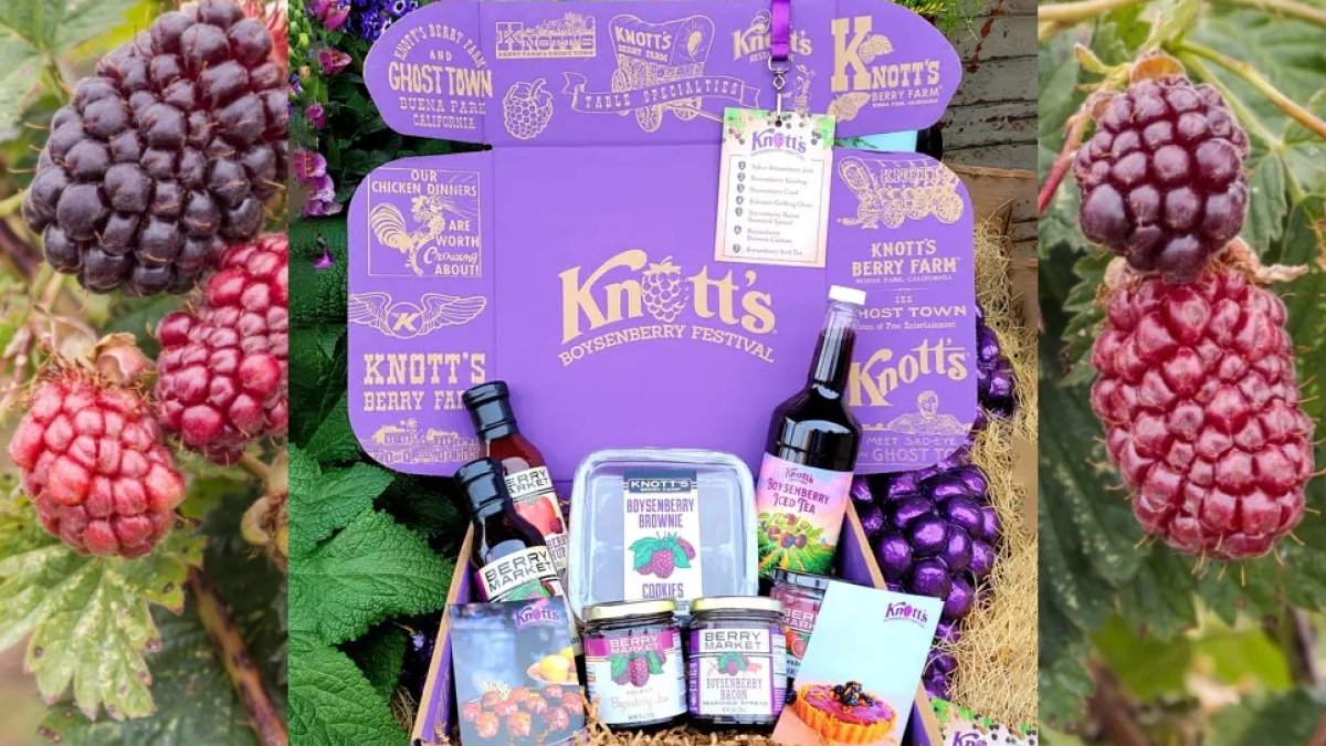 Sweet Knott’s Boxed Up the Boysenberry Fest NBC Los Angeles