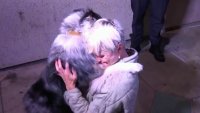 Watch: Heartwarming Reunion Between Pediatric Nurse and Stolen Dog