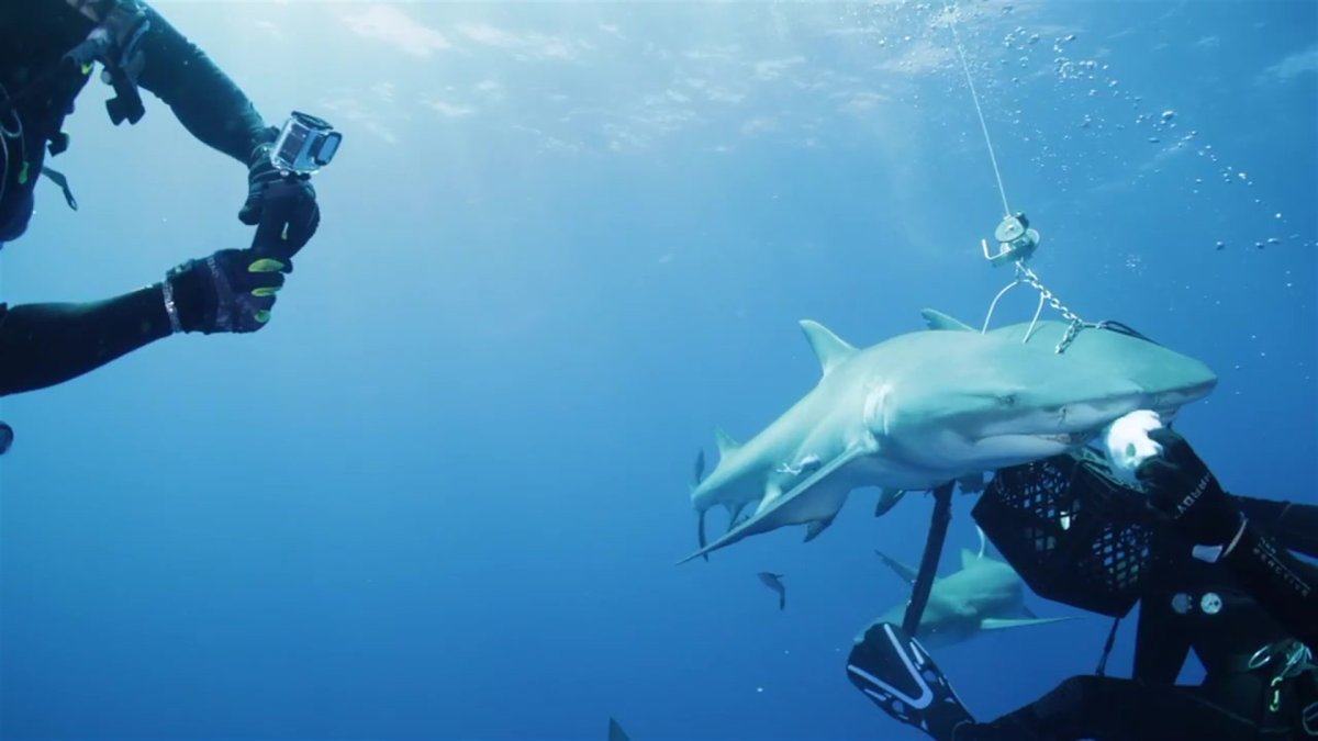 Full Show Johnny Bananas Explores Miami with Alexia Echevarria and