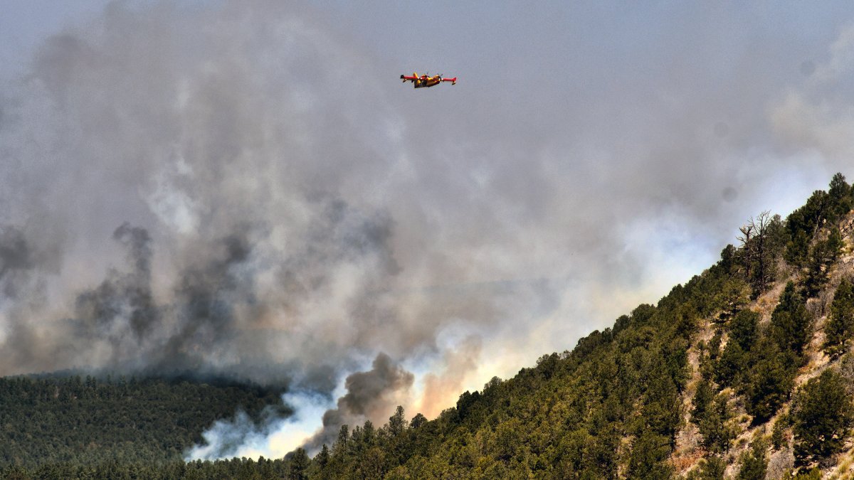 Biden Declares Disaster in New Mexico for Largest Wildfire in US – NBC Los Angeles - Vimarsana News