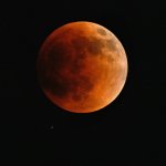 Blood Moon