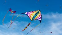 Weekend: Free People's Kite Festival