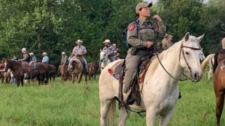 TDCJ, Texas Department of Public Safety, and numerous law enforcement agencies are using horse and canine teams to search for escapee Gonzalo Lopez in Leon County.