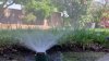 LA Limits Outdoor Watering to 2 Days Per Week. Here's What LADWP Customers Should Know