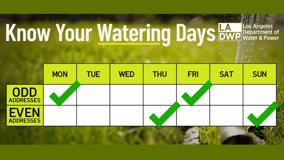 What to Know About the LADWP’s June 1 Water Restrictions NBC Los Angeles
