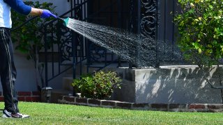 A man waters his lawn.