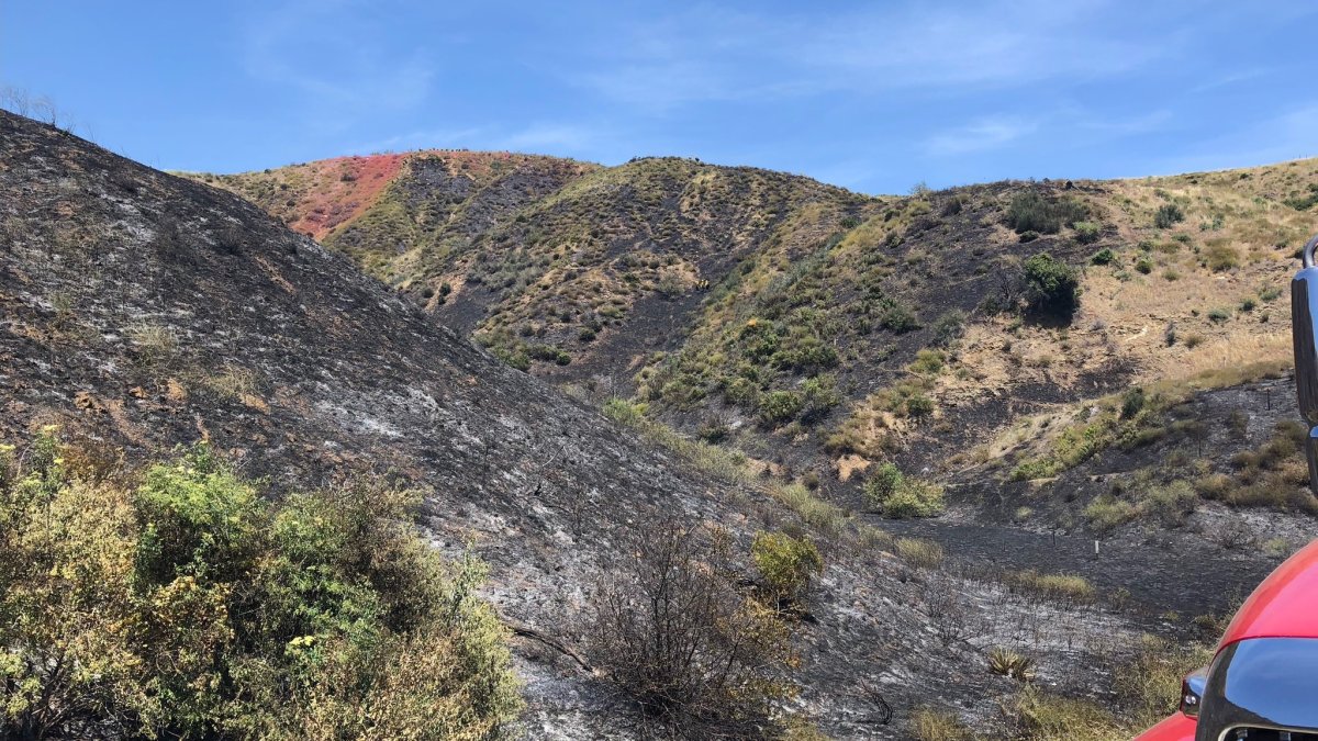 Brush Fire Burns 15 Acres in San Bernardino National Forest – NBC Los ...