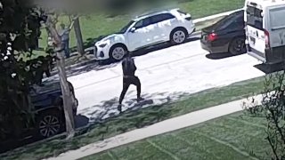 Security camera video captured a robbery in Hancock Park.