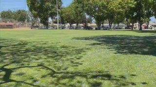 Authorities are asking for help in finding a man who tried to kidnap a girl at a Pico Rivera park.