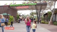 Feel What it's Like to be Wild at the Wildlife Explorers Basecamp at The San Diego Zoo!