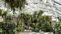 A Huge Houseplant Exhibition Will Soon Sprout