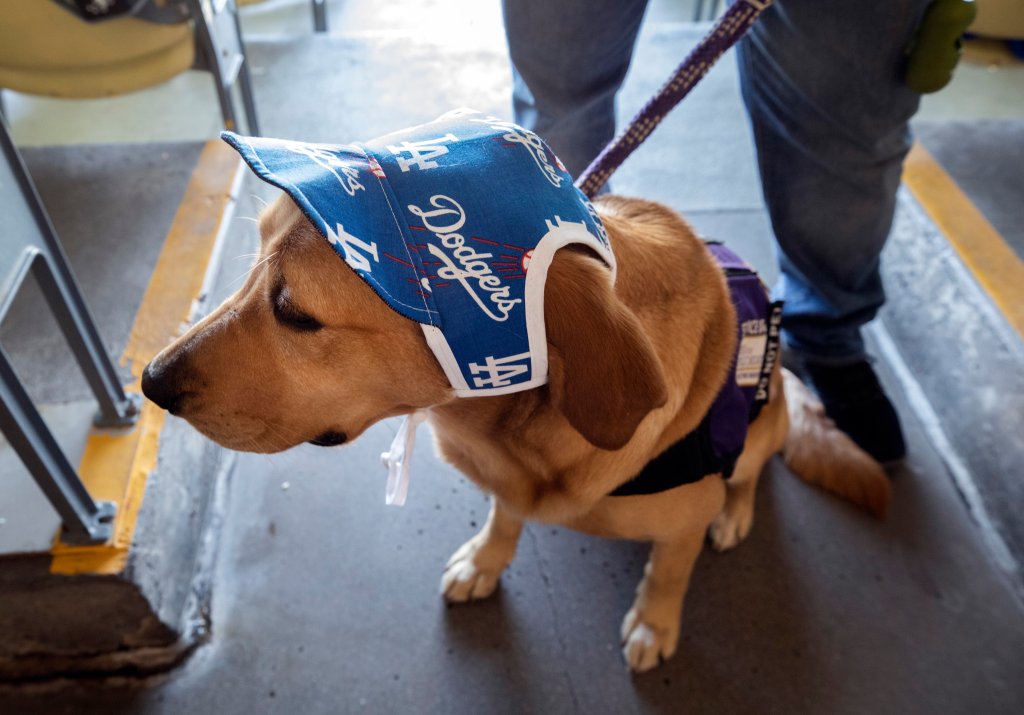 cooper kupp dog jersey