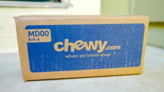 Close up of a Chewy.com