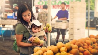 A young mom and her baby shop for fruit from organic farmers at an outdoor market.