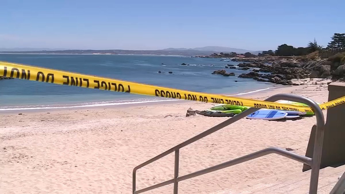 Surfer Attacked by Shark in Pacific Grove - Vimarsana News