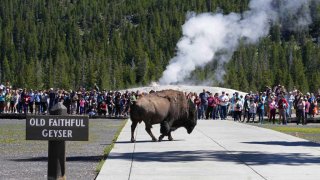 FILE - YELLOWSTONE NATIONAL PARK, WY - JUNE 22