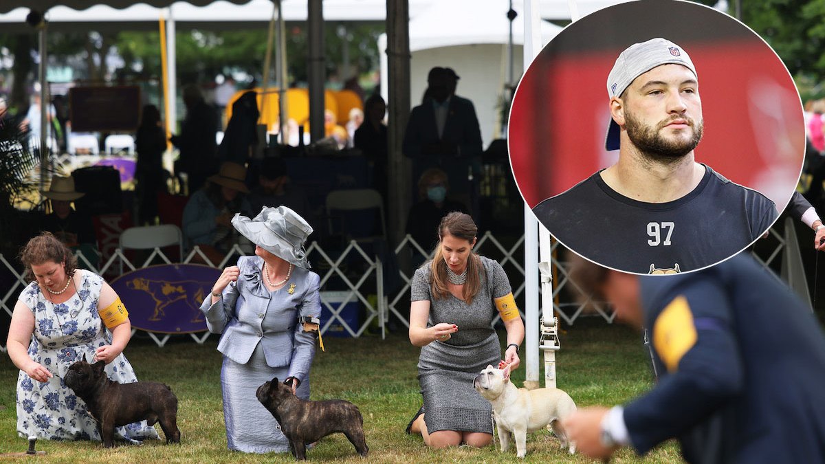 Westminster Dog Show Gets 4 Finalists, and One Has NFL Ties – NBC Los Angeles - Vimarsana News