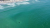 Juvenile White Sharks at SoCal Beaches Are ‘Chilling' and Not Interested in Humans, Researchers Say