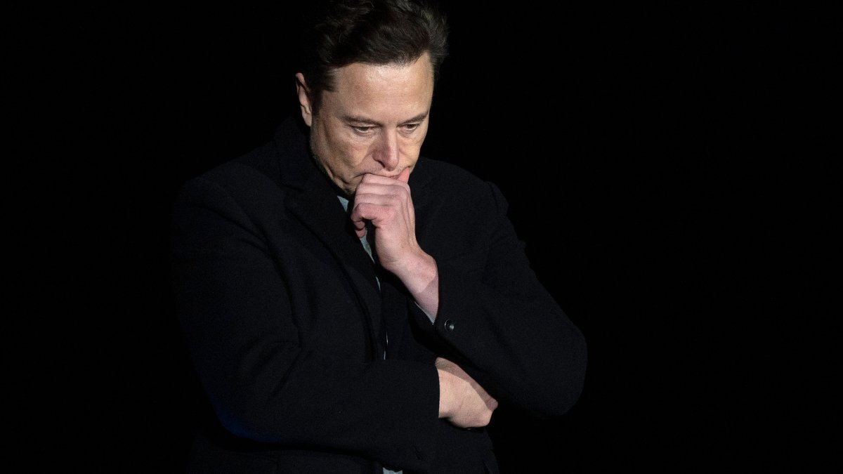 Elon Musk Is Smart — But He Doesn't Understand ESG, Tech CEO Says - Vimarsana News
