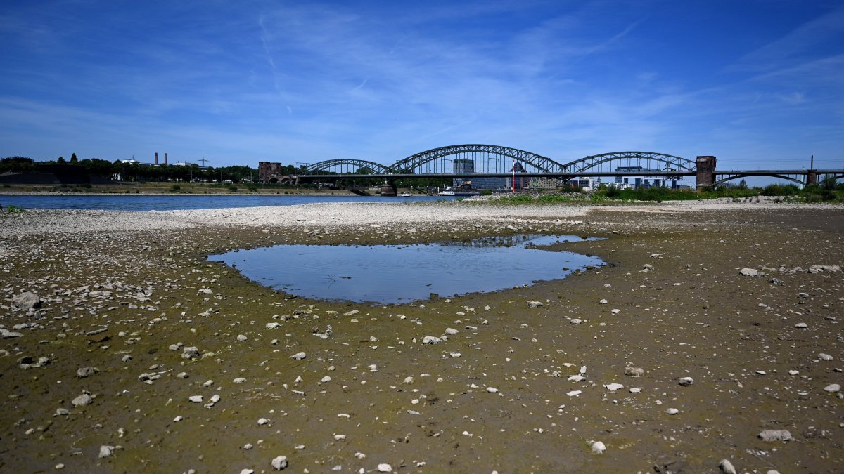 A Critical Shipping Lane in Europe's Economic Heart Is Drying Up in the Searing Heat - Vimarsana News