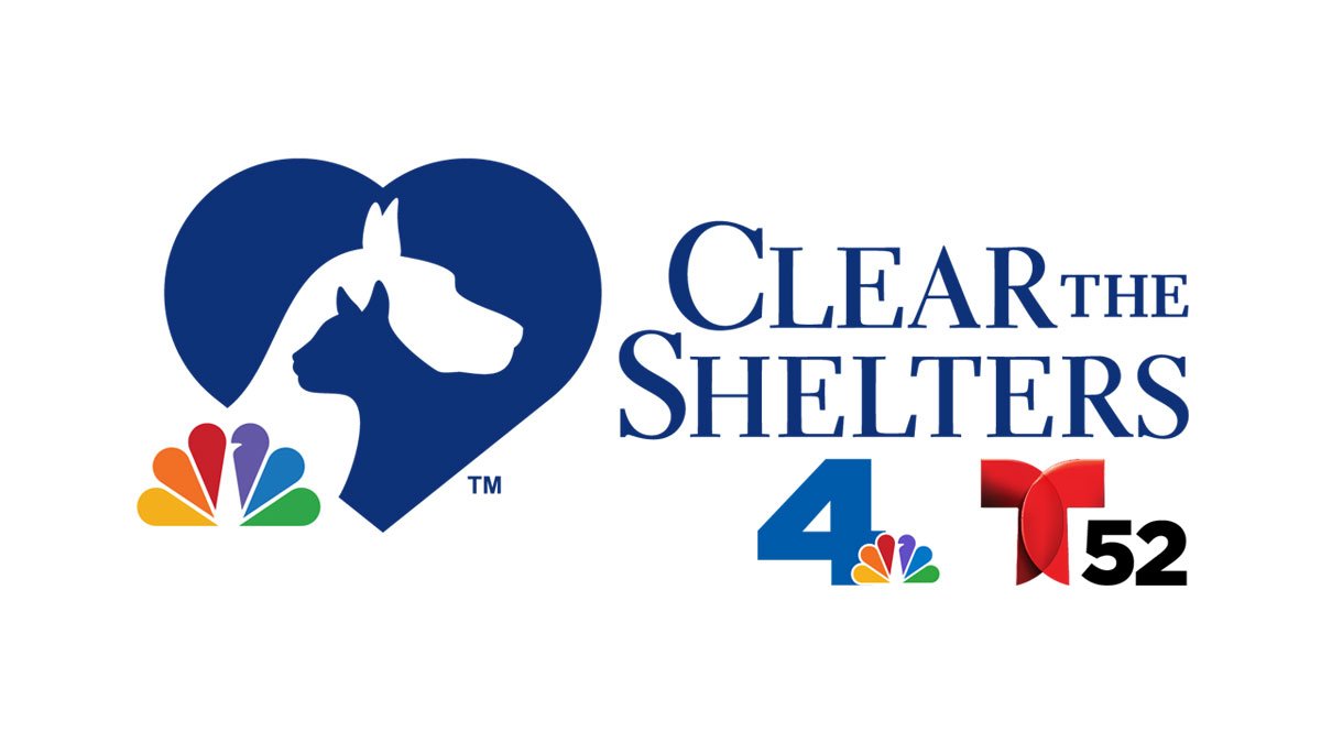 NBC4 and Telemundo 52's Clear The Shelters™ Adopt & Donate Campaign Returns for Eighth Consecutive Year - Vimarsana News