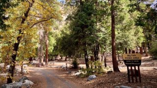 A view of the Big Falls picnic area in the San Bernardino National Forest.