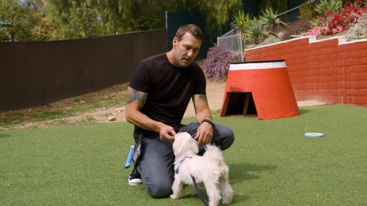 A celebrity animal trainer reveals the three things to know to set your