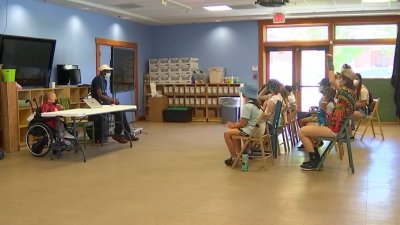 Life Connected: The Painted Turtle