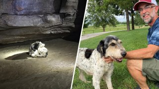 Gerry Keene shows a 13-year-old dog named Abby