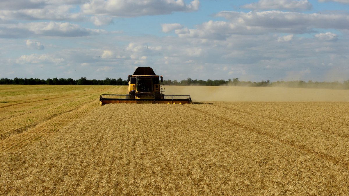 Food Prices Fell Sharply in July — But the Respite May Not Last - Vimarsana News
